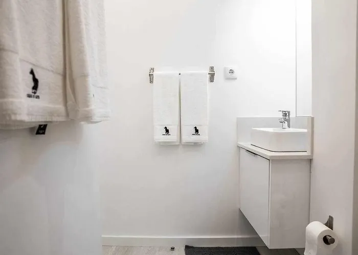 Casa Do Gato Poeta *